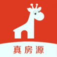别被柴柴发现