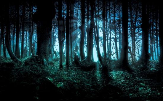 奥日与迷失森林攻略,奥日与迷失森林：探索诺拉大陆的奇幻之旅