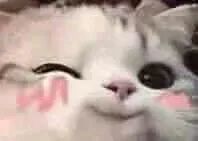 约会流程 全攻略手游,QQ炫舞手游约会模式怎么玩 约会模式玩法攻