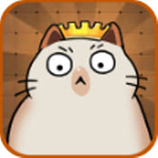 猫咪滑块：美喵之事