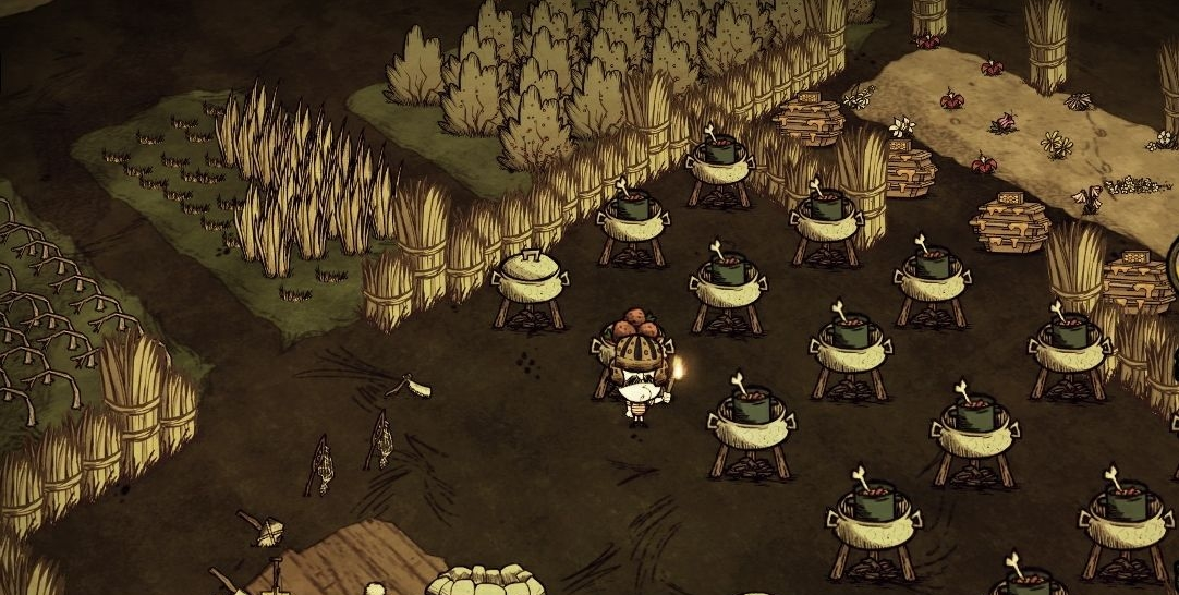 饥荒手游养殖攻略,饥荒手机版怎么养鸟 养鸟指南