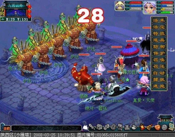 梦幻手游狮子教学攻略,梦幻西游我刚玩到45级买个狮子，不知道狮子怎么玩，怎么加技能，看别人说打书是什么意思？