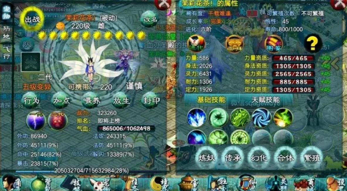 忘仙鬼煞适宜搭配什么样的宝石
