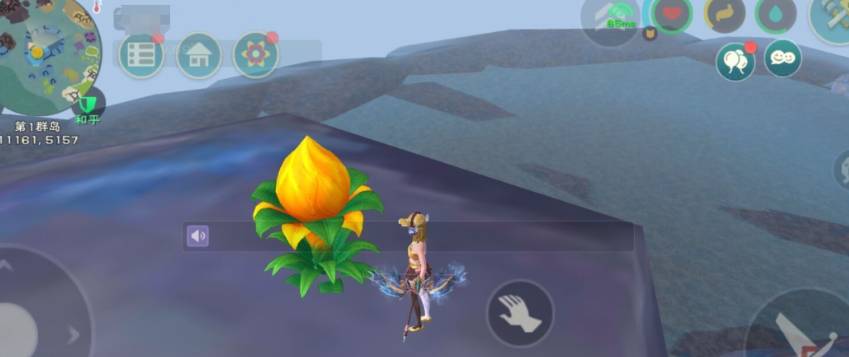 创造与魔法新出的四种植物是什么