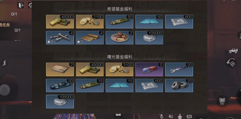 明日之后希望基金买什么好