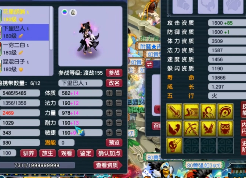 梦幻西游血攻宝宝洗什么特性