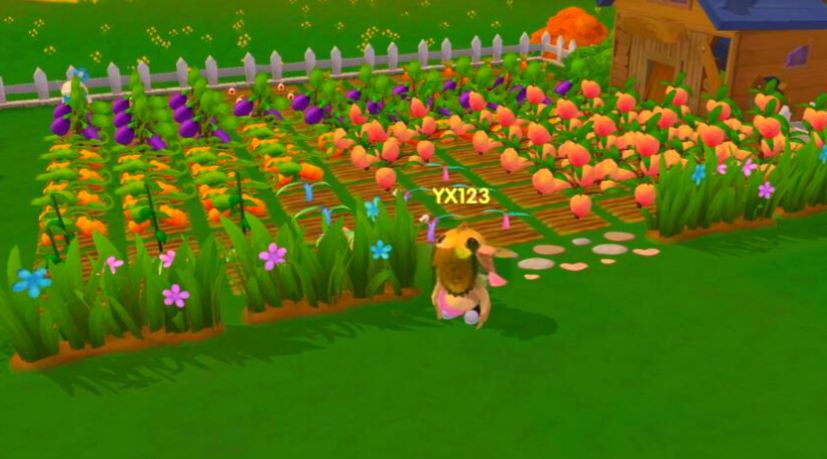 摩尔庄园做饭的南瓜怎么获取