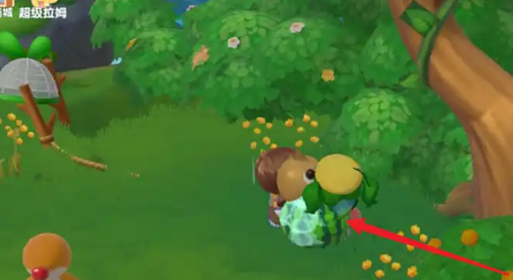 摩尔庄园浆果丛林西瓜怎么捡
