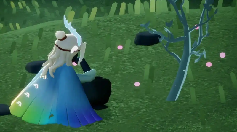 光遇小树苗有什么用