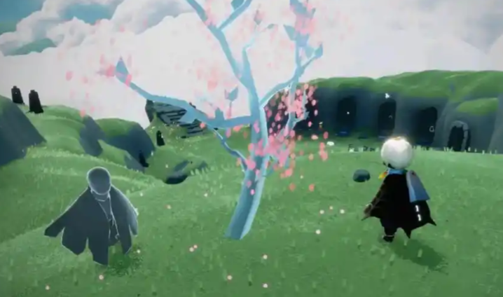 光遇小树苗有什么用