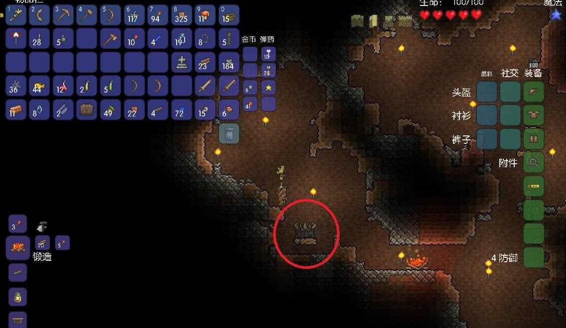 泰拉瑞亚专家肉山用什么打