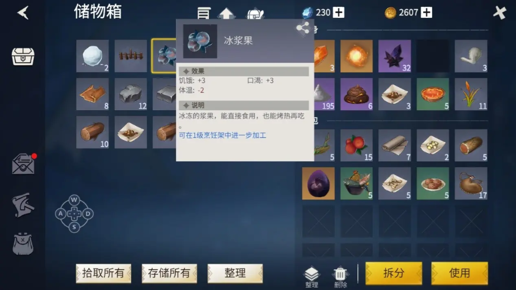 冰原守卫者营地储藏箱有什么用