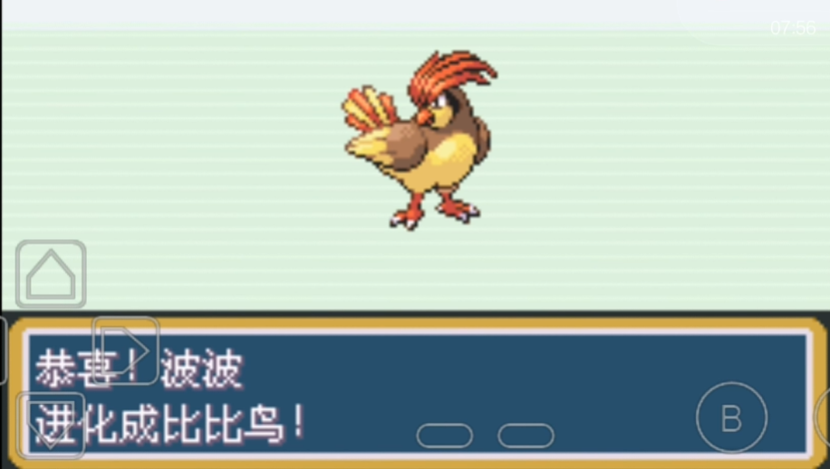 口袋妖怪火红波波什么性格好