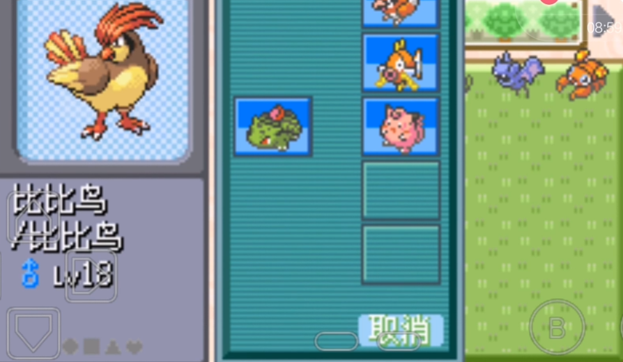 口袋妖怪火红波波什么性格好