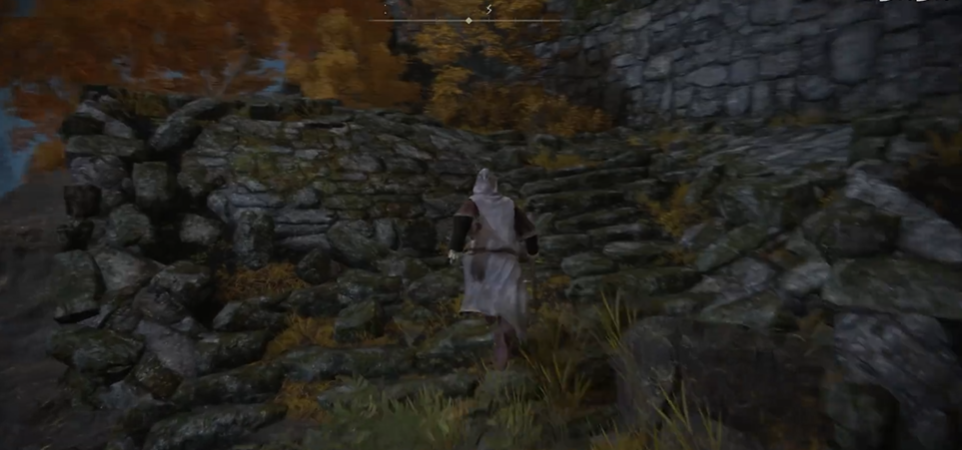 艾尔登法环蛇女任务如何完成