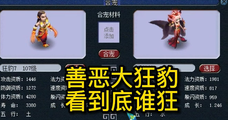 梦幻西游隐攻狂豹内丹带什么好