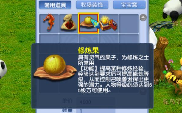 梦幻西游怎么使用修炼果