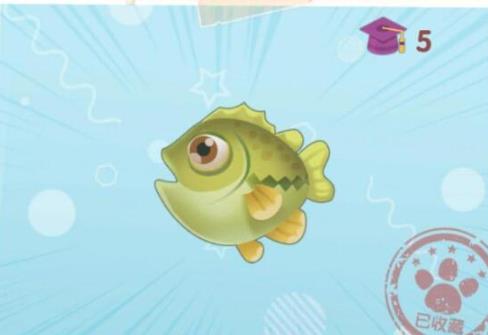 摩尔庄园桂花鱼怎么获得