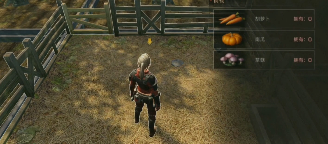 明日之后后期怎么玩