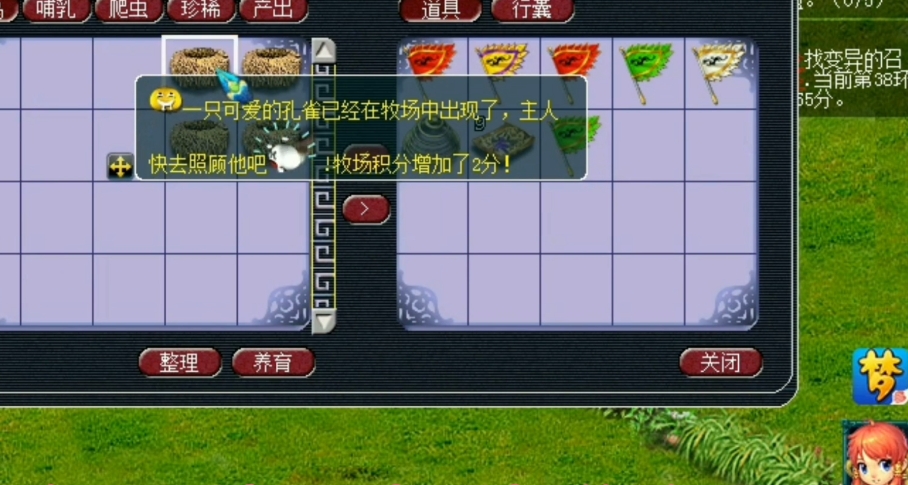 梦幻西游牧场孔雀毛能干什么